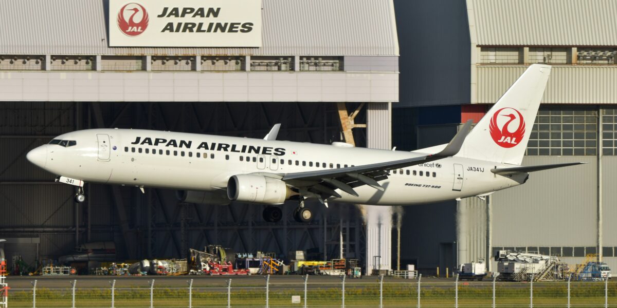 Japan Airlines Boeing 737 landing at hangar showing wing detail