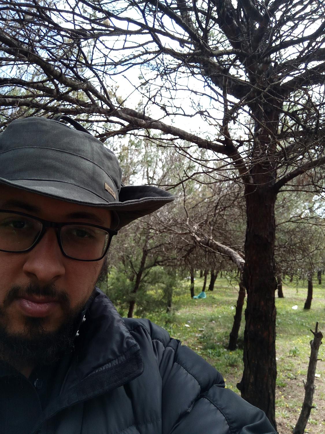 Large commercial jet engine turbofan