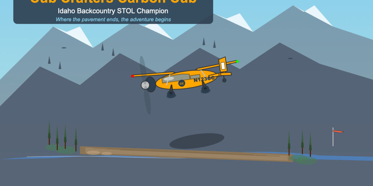 Watch This Carbon Cub Land in 100 Feet – STOL Magic (Videos)
