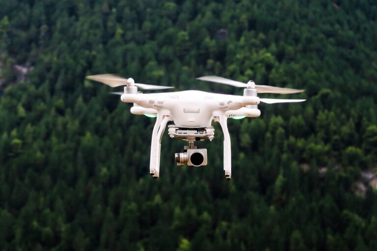 How to Disable a Drone: Legal Options and Reporting