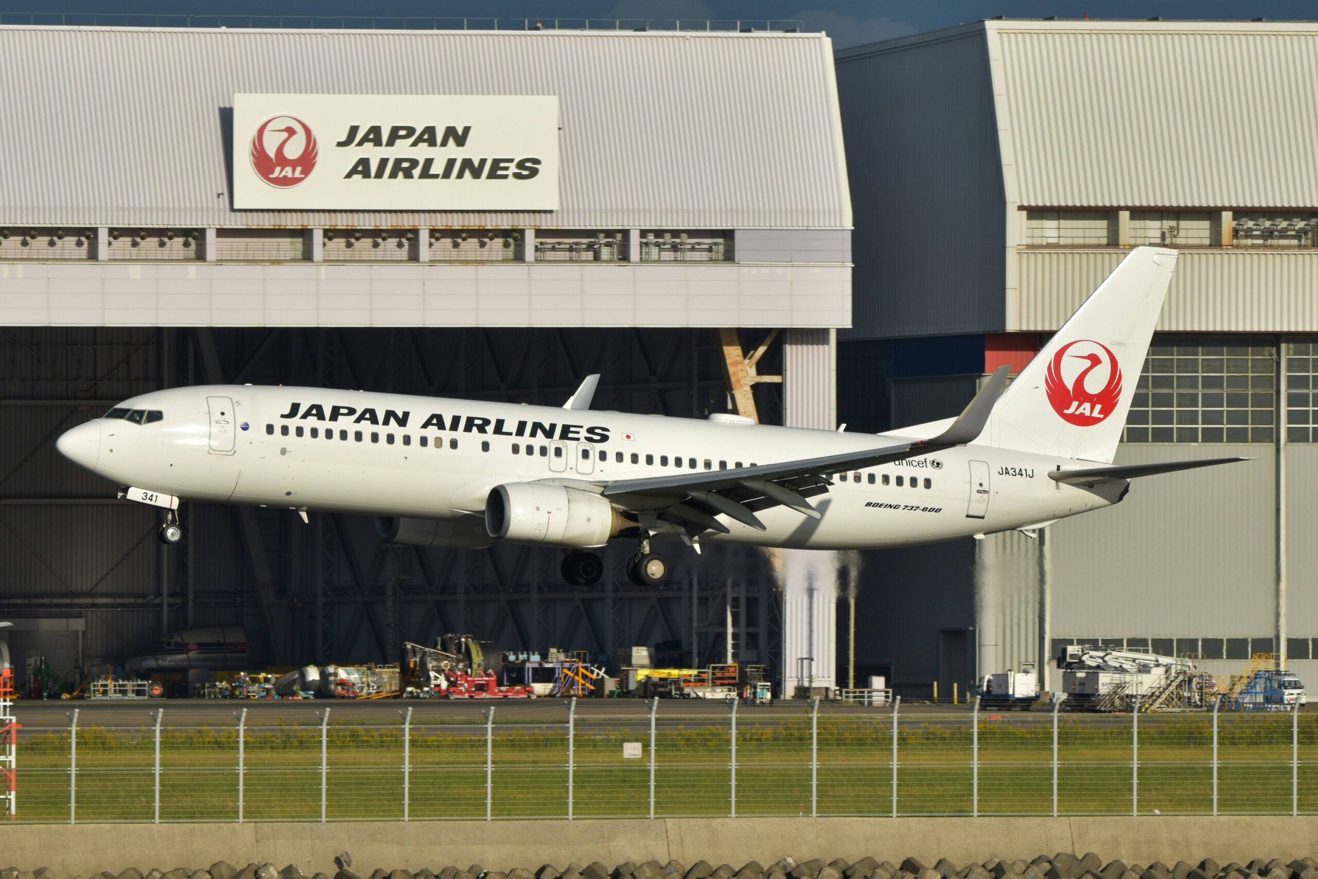 Japan Airlines Boeing 737 landing at hangar showing wing detail