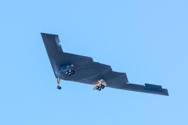 Stealth bomber aircraft